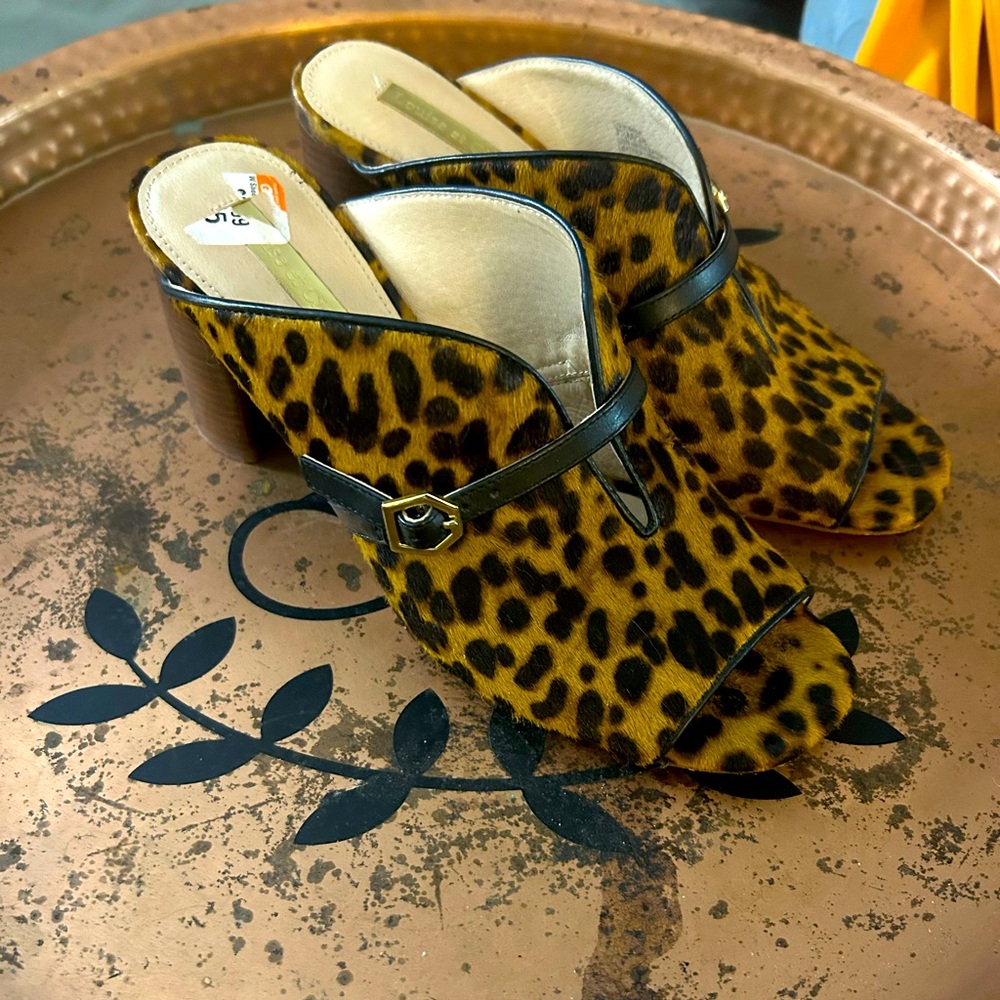 Nice mules